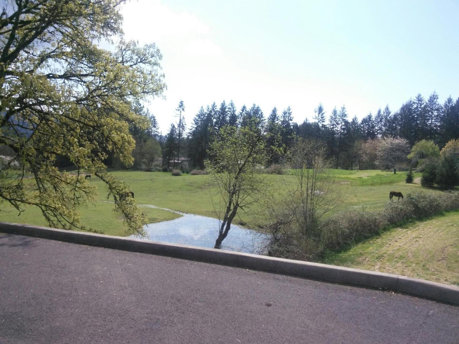 Vancouver Wa Beautiful Apartment Woodland Dış mekan fotoğraf
